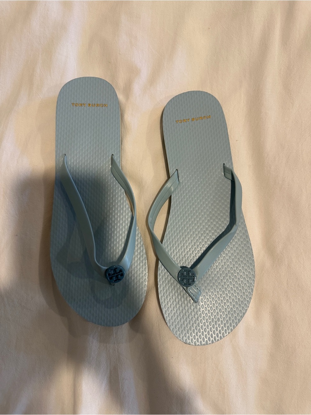 Tory Burch Pale Blue Logo Jelly Flip Flops